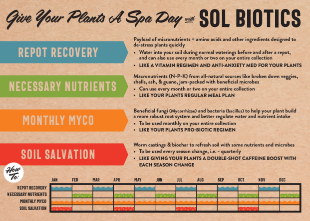 Sol Biotics Bundle Pack