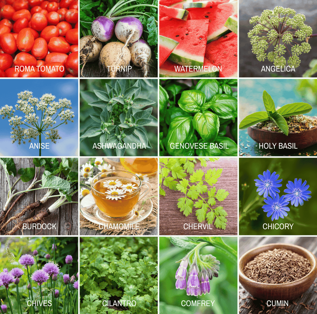 Community Garden Survival Seed Vault – 120 Seed Varieties - Cheeky Garden