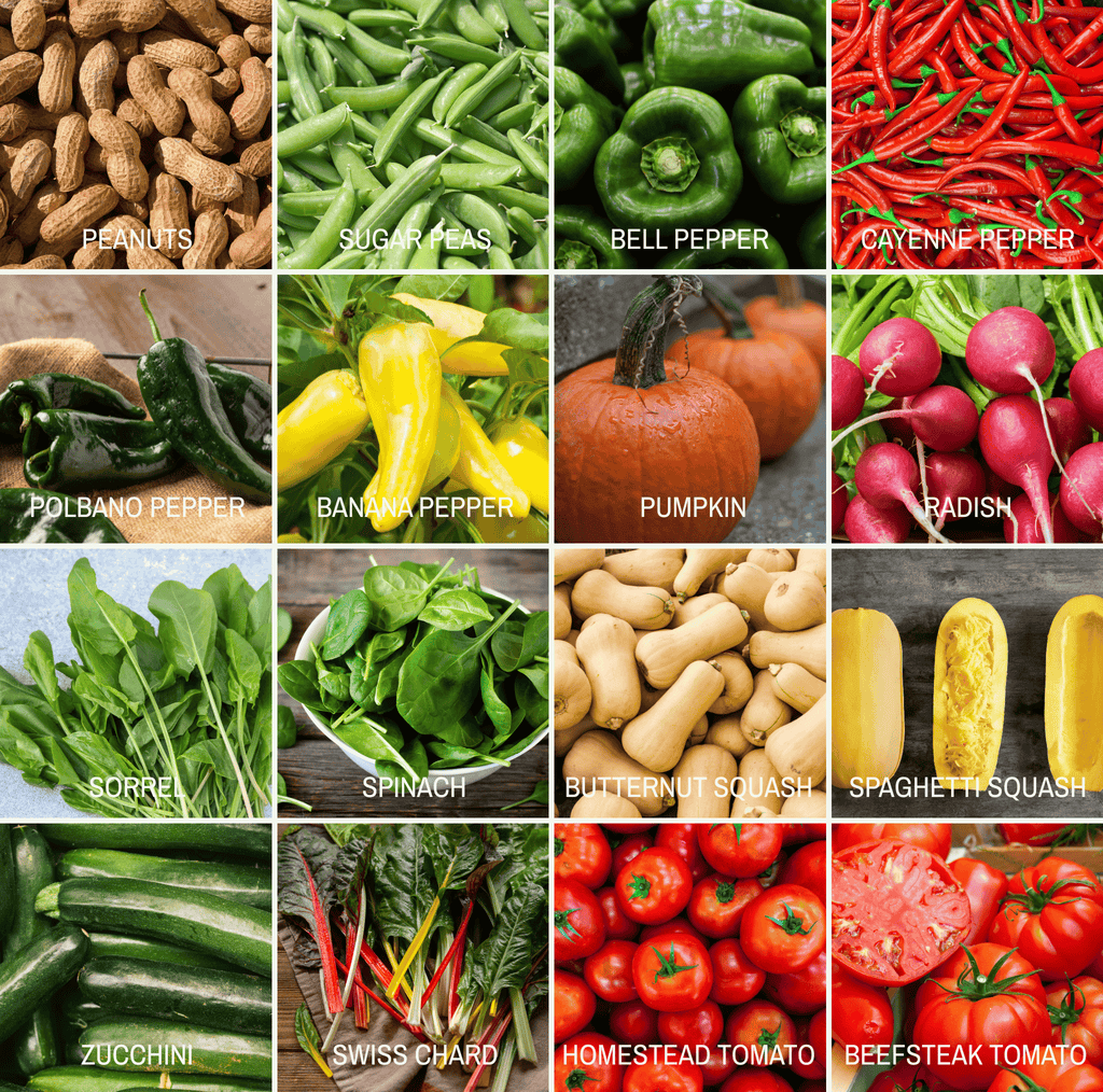 Community Garden Survival Seed Vault – 120 Seed Varieties - Cheeky Garden