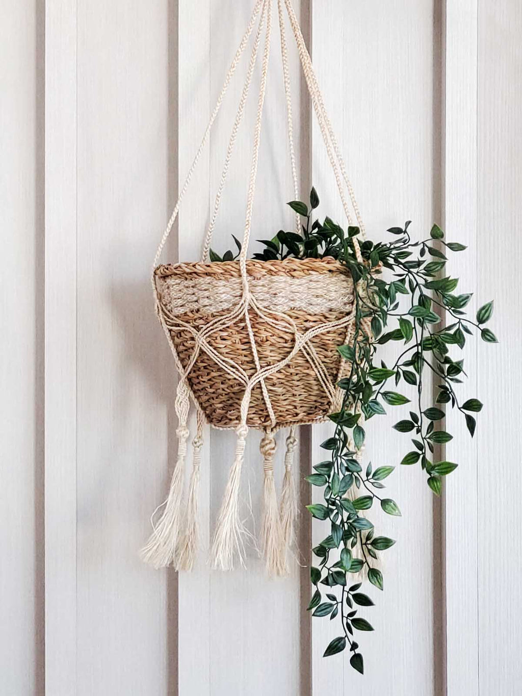 Plant Hanger - Bitan - Cheeky Garden