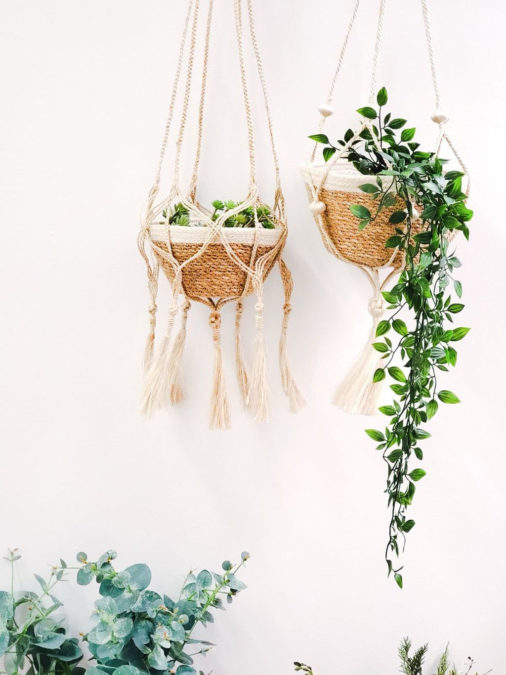 Plant Hanger - Bitan - Cheeky Garden