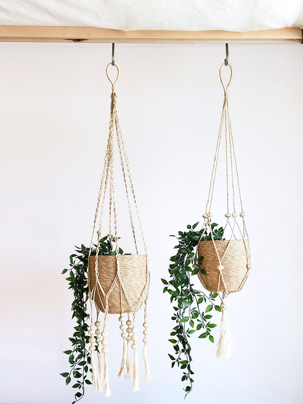 Plant Hanger - Fiora - Cheeky Garden