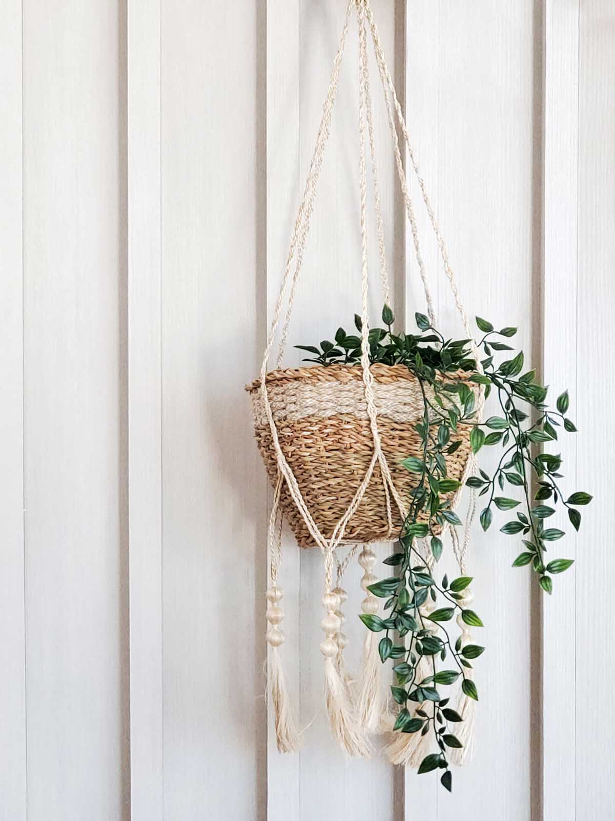 Plant Hanger - Fiora - Cheeky Garden