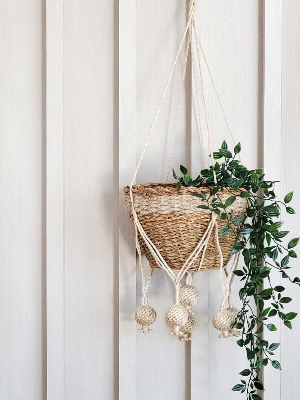 Plant Hanger - Kadam - Cheeky Garden