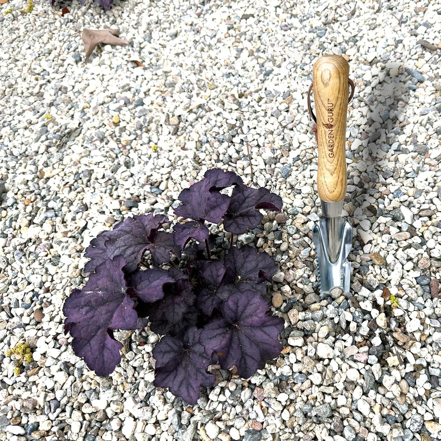 Stainless Steel 5-in-1 Weeder Trowel (classic wood handle) - Cheeky Garden