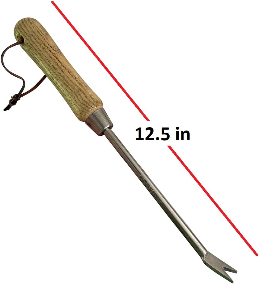 Stainless Steel Garden Dandelion Weeder (classic wood handle) - Cheeky Garden