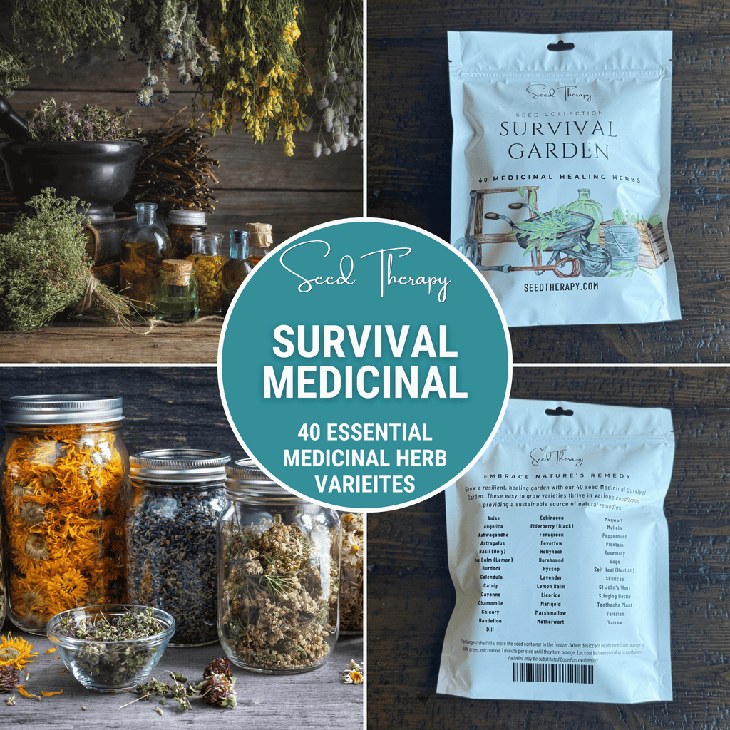 Survival Garden Combo – 40 Vegetable & 40 Medicinal Herb Varieties - Cheeky Garden