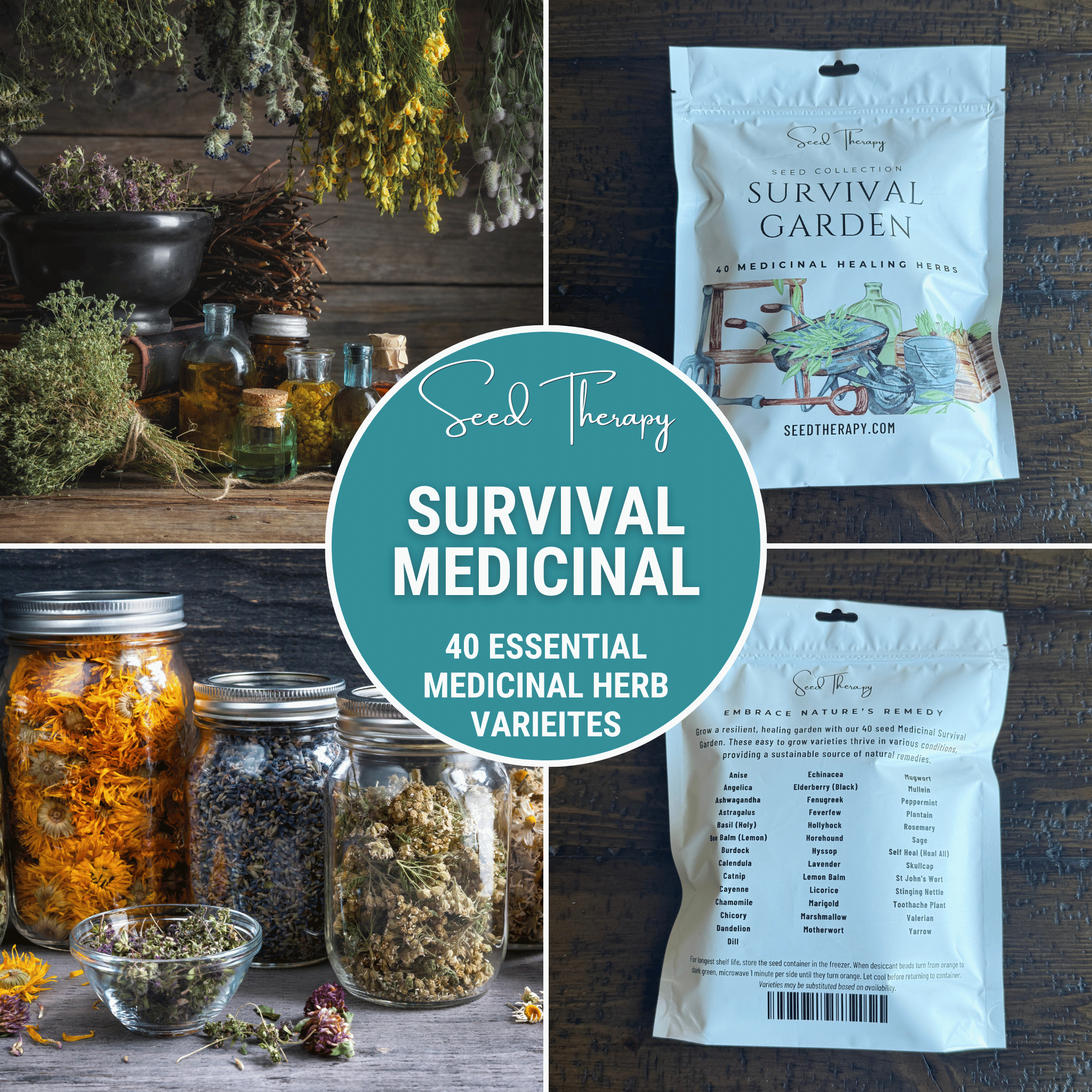 Survival Medicinal Herb Garden – 40 Essential Varieties - Cheeky Garden